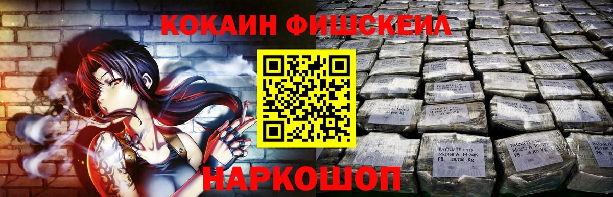 Cocaine Fish Scale  COCAIN  Гатчина  Вход с VPN  продажа наркотиков  COCAIN Боливия 