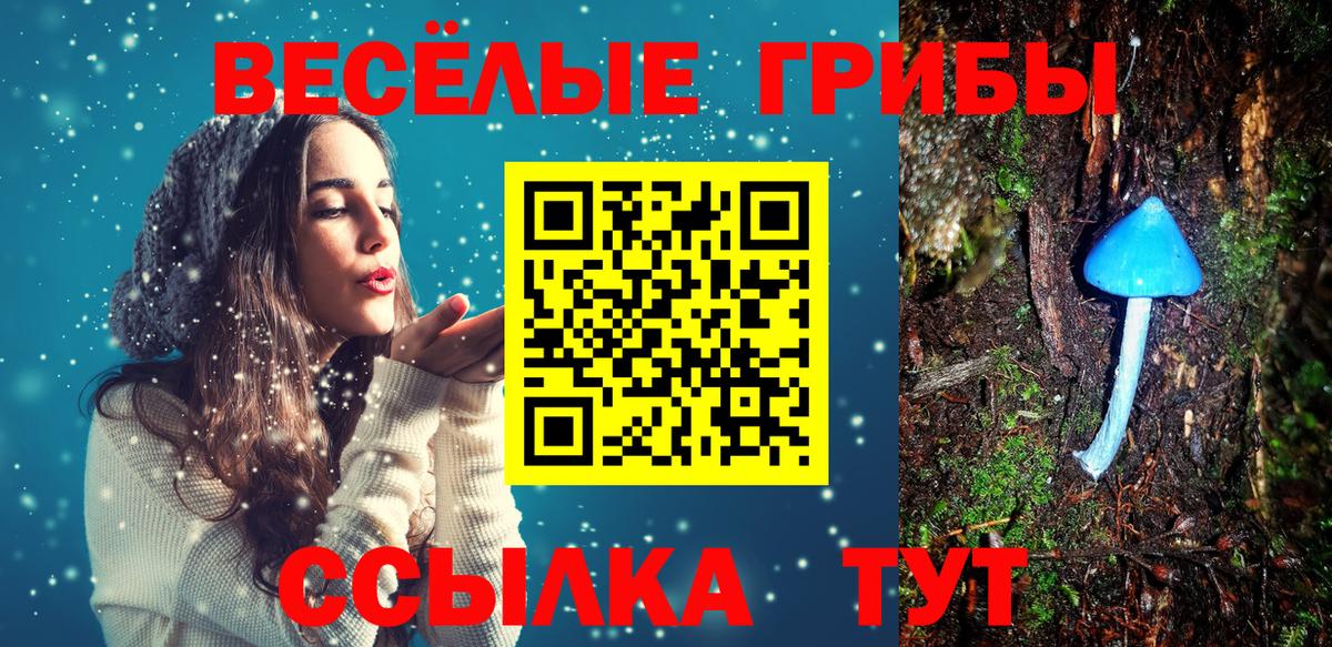 Гатчина  Галлюциногенные грибы ЛСД  где продают   Вход с VPN 