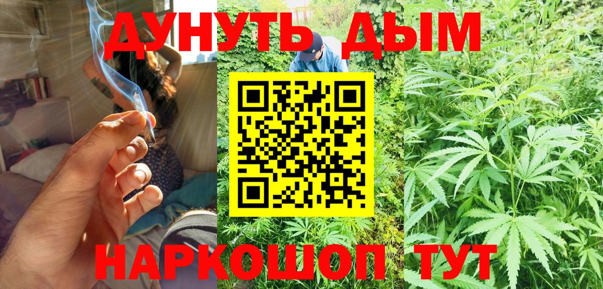 Конопля планчик Гатчина